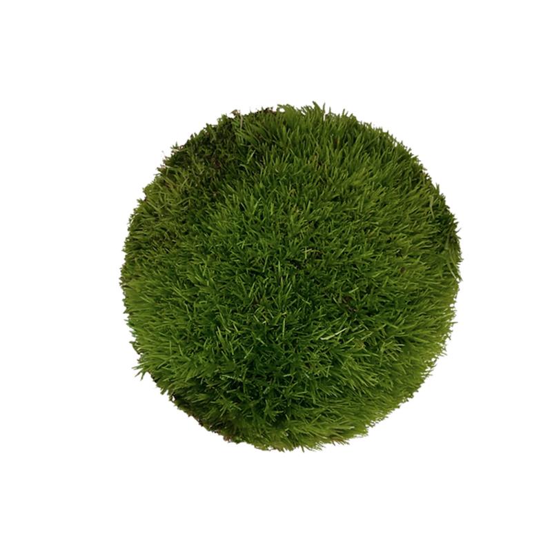Muschi WIO Cushion "Leucobryum glaucum" - imagine 3
